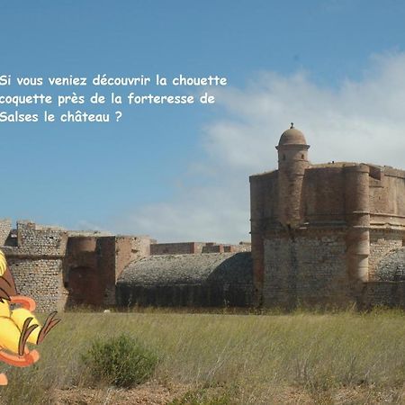 サルス・ル・シャトー Chouette Coquetteヴィラ エクステリア 写真